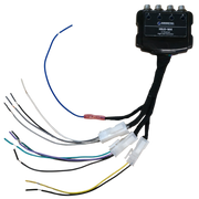 AudioDetail HILO-M4 | 4-Kanaals High Low Converter | High Level naar RCA | Auto-Remote 12V | MOLEX